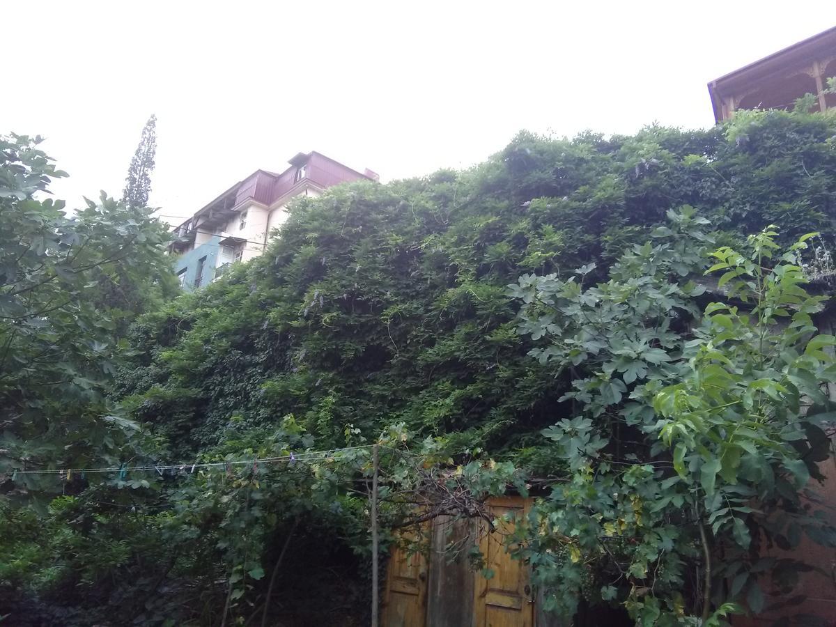 Apartment Marina Tbilisi Exterior foto
